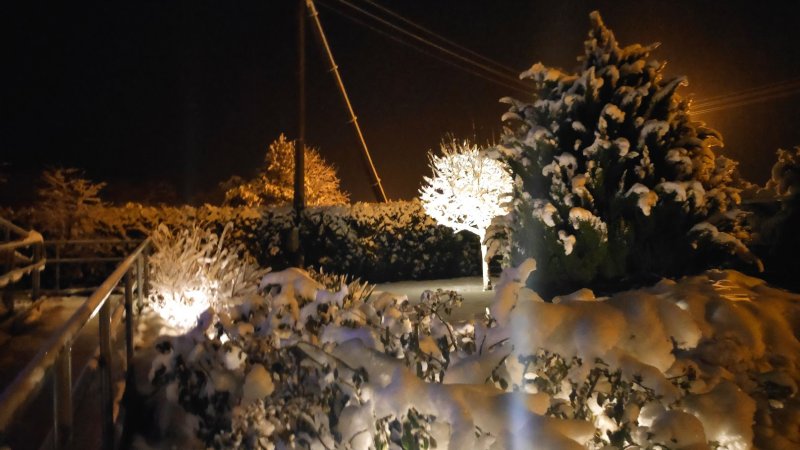 vartotojo įkelta nuotrauka
