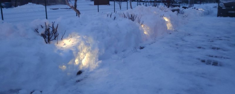 vartotojo įkelta nuotrauka